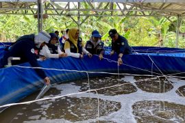 Diskan Batam bina kelompok pembudidaya ikan air tawar bioflok di pulau terpencil