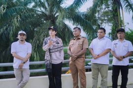 Bupati Dharmasraya tinjau pembangunan jembatan Batang Mimpi Sikabau