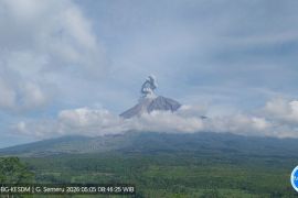 Badan Geologi sebut aktivitas vulkanikGunung Semeru masih tinggi