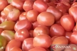 BI Pematang Siantar perkuat sinergi kendali inflasi April 2026