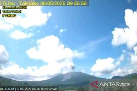 Gunung Ibu lontarkan abu vulkanik setinggi 800 meter