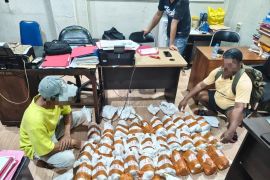 Polda Maluku gagalkan peredaran 825 kg merkuri ilegal