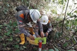 PLN Survei Jalur Transmisi GI Tanjung Redeb-PLTG Kaltim/Kaltara