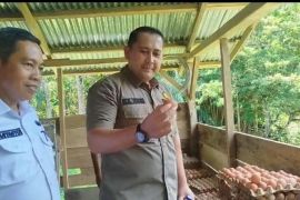 Bupati M. Syukur apresiasi keberhasilan BUMDesma Syukur Bhakti