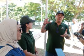 Investor Spanyol bangun area penyangga Mandalika