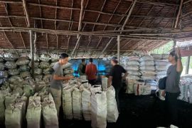 Polda Riau sita 100 ton arang bakau dari hutan mangrove di Meranti