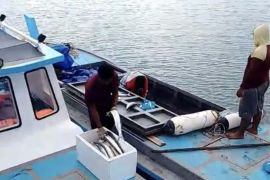 Koperasi Rempang Eco City Batam mulai jual hasil ikan