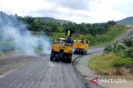 BKSDA Sumbar siapkan opsi tembak bius evakuasi harimau sumatra