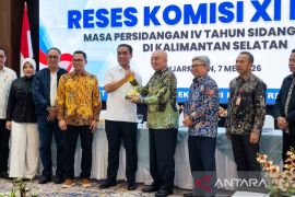 Komisi XI DPR RI minta Kalsel percepat hilirisasi industri