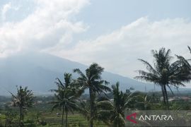 Kuningan kembangkan kelapa jadi komoditas unggulan daerah