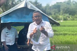 Kuningan terapkan pengendalian hama berbasis ekosistem