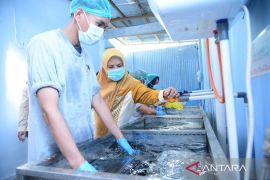 Wagub Gorontalo minta dapur MBG siapkan 30 variasi menu