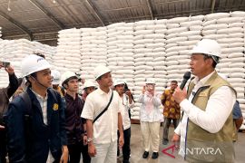 Bulog sebut serapan gabah petani capai 2,4 juta ton