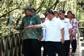 Kemenhut dan Kabupaten Penajam kerja sama kembangkan ekowisata mangrove