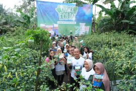 NPGF dukung ketahanan pangan lewat Farmer Field Day