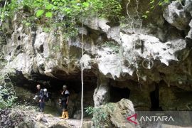 Pemprov Kaltim persiapkan Kars Sangkulirang-Mangkalihat jadi geopark dunia