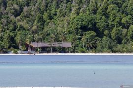 Pemprov: Mentawai perkokoh identitas jadi lokasi selancar kelas dunia