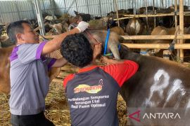 Cianjur kerahkan 46 petugas periksa hewan sambut Idul Adha