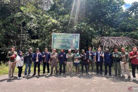 Polda PBD dan BKSDA lepas-liarkan 17 satwa endemik Papua