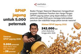 SPHP jagung untuk 5.000 peternak