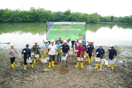 PT Timah - Pemkab Bangka tanam pohon di Kolong AKHLAK Air Kantung