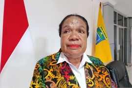 Pemprov Papua Pegunungan imbau masyarakat tanam pohon jaga kelestarian hutan