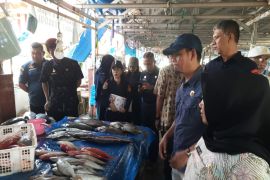 DKP Sulbar : Waspada ikan mengandung bahan kimia berbahaya
