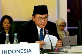 Indonesia serukan ASEAN solid dalam pertemuan menteri ekonomi