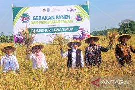 Pemprov Jatim minta daerah percepat tanam padi antisipasi El Nino