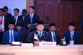 President Prabowo urges ASEAN to accelerate energy diversification