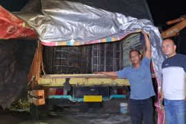 Polda Sumut selidiki jaringan truk modifikasi pengangkut solar subsidi