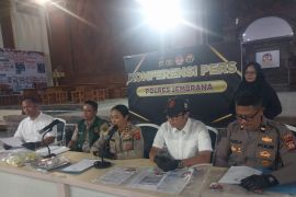 Polres Jembrana tangkap dua pemalsu dokumen pengiriman sapi