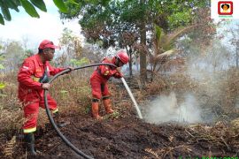 Pulau Mendol kembali membara, Manggala Agni data satu lokasi terbakar 4 hektare