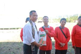 Bengkayang perkuat sektor pertanian sebagai penopang ekonomi daerah