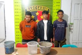 Receh yang meresahkan di Jalinsum Sipirok Tapsel