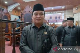 Legislator Kapuas apresiasi pembangunan jaringan listrik di Buhut Jaya oleh perusahaan