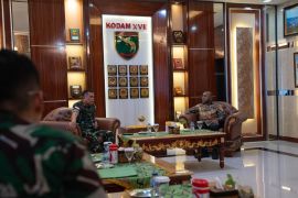 PLN gandeng Kodam Cenderawasih perkuat pengamanan pembangunan kelistrikan Papua
