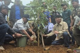 KLH-buruh hijaukan kawasan hulu Bandung tanam 12.000 pohon