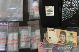 Dijanjikan sabu gratis, dua pengedar ditangkap Polres Tapsel
