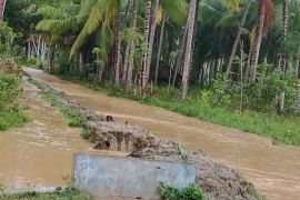 Dua desa terendam banjir di Parigi Moutong