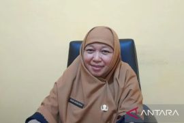Pemkab Bangka Tengah kembangkan klaster cabai dan bawang