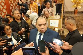 Danantara: Proyek PSEL tahap II dilirik lebih dari 100 investor
