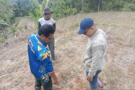 BKSDA Sumbar turunkan petugas usai anak kerbau warga digigit harimau (Video)
