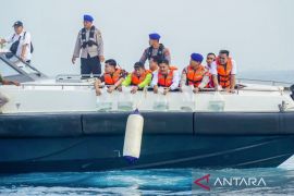 Polisi ungkap penangkapan ratusan ikan Napoleon di Kepulauan Seribu