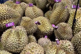 Selera konsumen China ubah lanskap perkebunan durian di Asia Tenggara