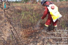 Manggala Agni padamkan karhutla 14 hektare di Pelalawan Riau