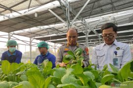 Green House Palmerah bakal pasok bahan baku untuk jaringan SPPG Polri