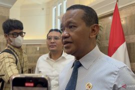 Philippines electricity grid to join Trans Borneo network: Minister