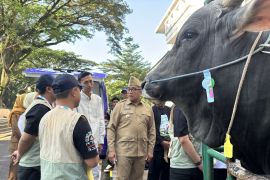 Pemkot Bandung kerahkan 184 petugas periksa kesehatan dan kelayakan hewan kurban