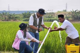 PLN dorong produktivitas petani Klaten melalui electrifying agriculture